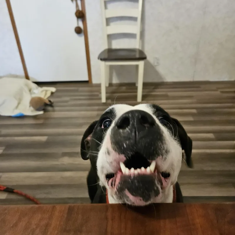 Mickey Jum thumbnail 3