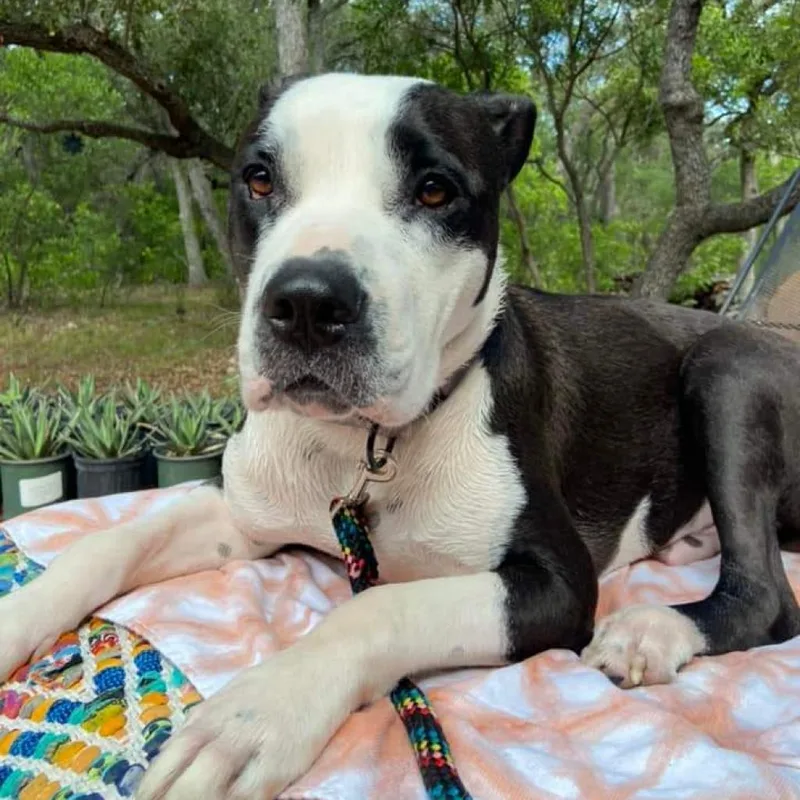 Mickey Jum thumbnail 4