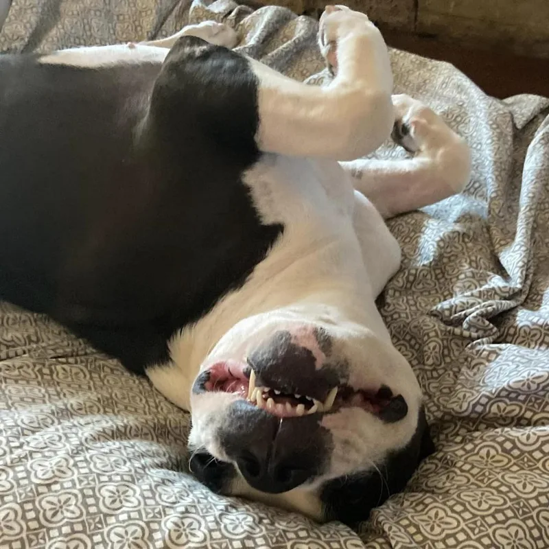 Mickey Jum thumbnail 5