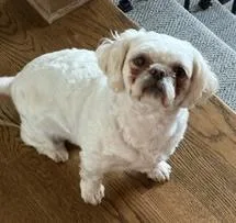 Frankie
