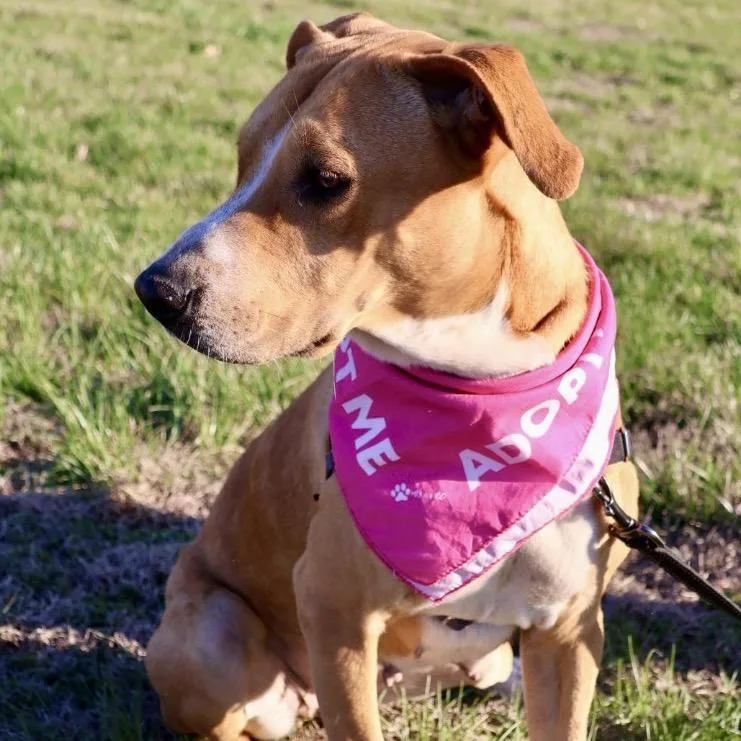 Bonnie Pp thumbnail 2