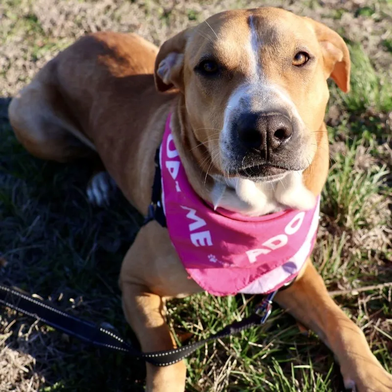 Bonnie Pp thumbnail 3