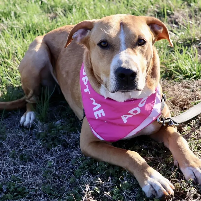 Bonnie Pp thumbnail 4