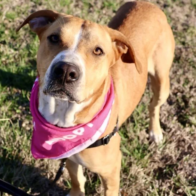 Bonnie Pp thumbnail 5