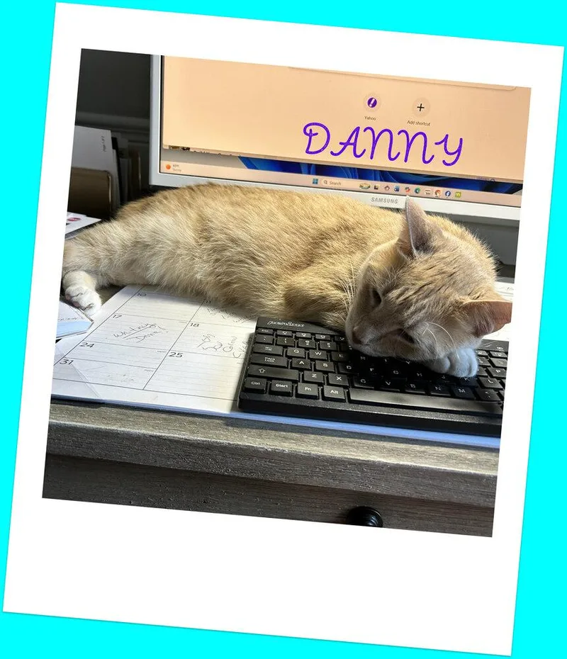 Danny thumbnail 2