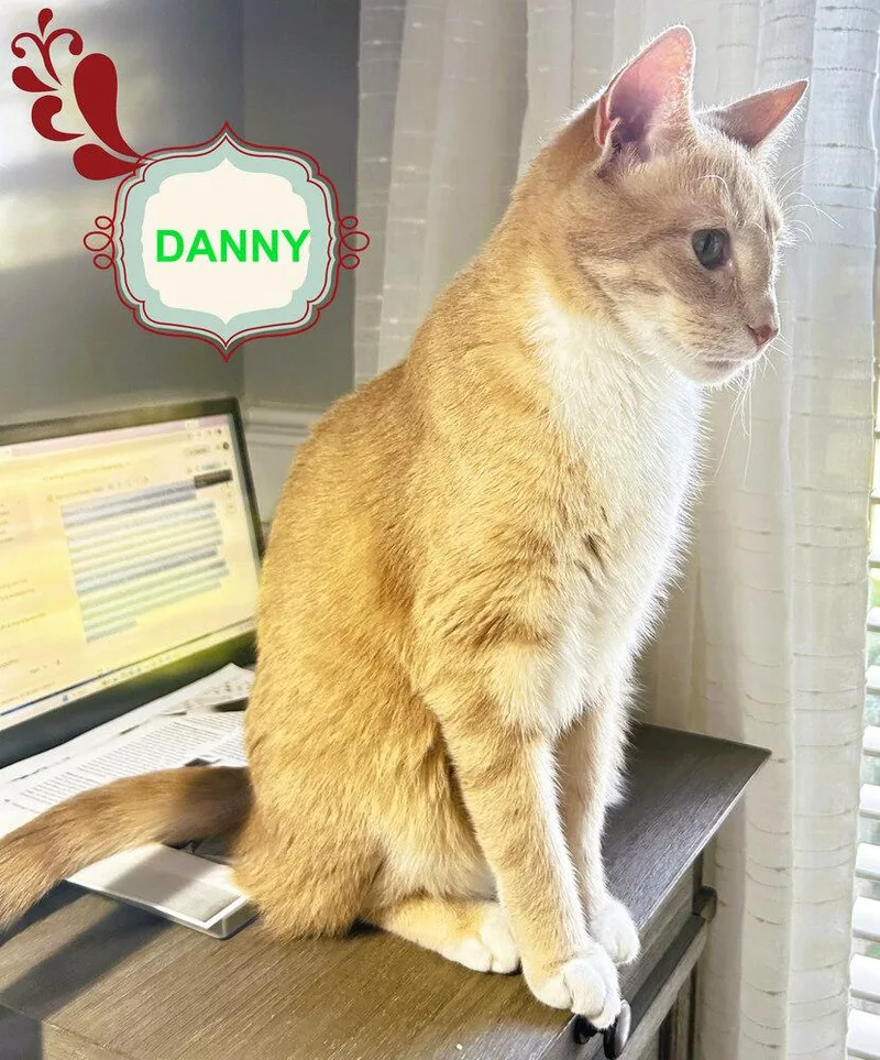 Danny thumbnail 6