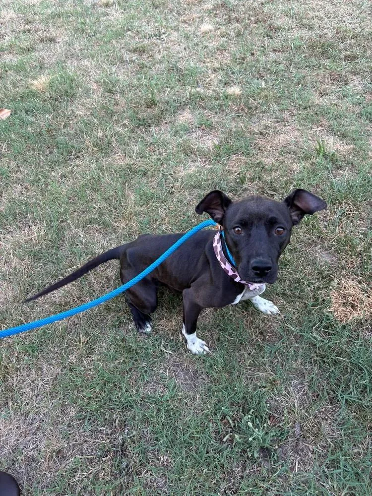 Miya thumbnail 2
