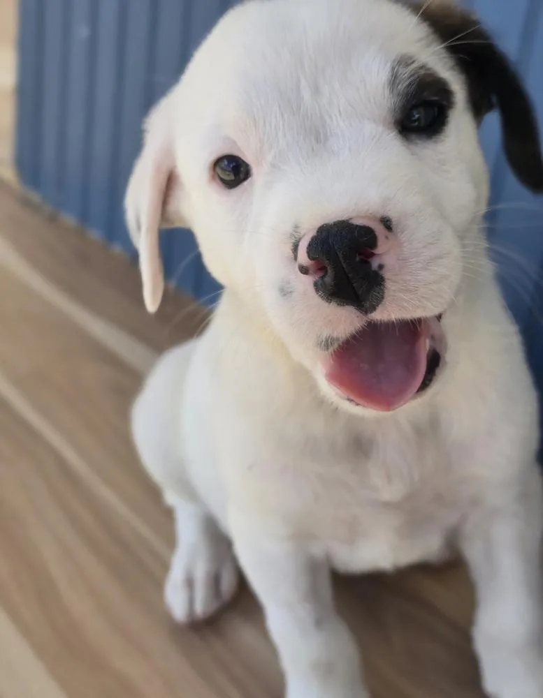 Nacho thumbnail 2