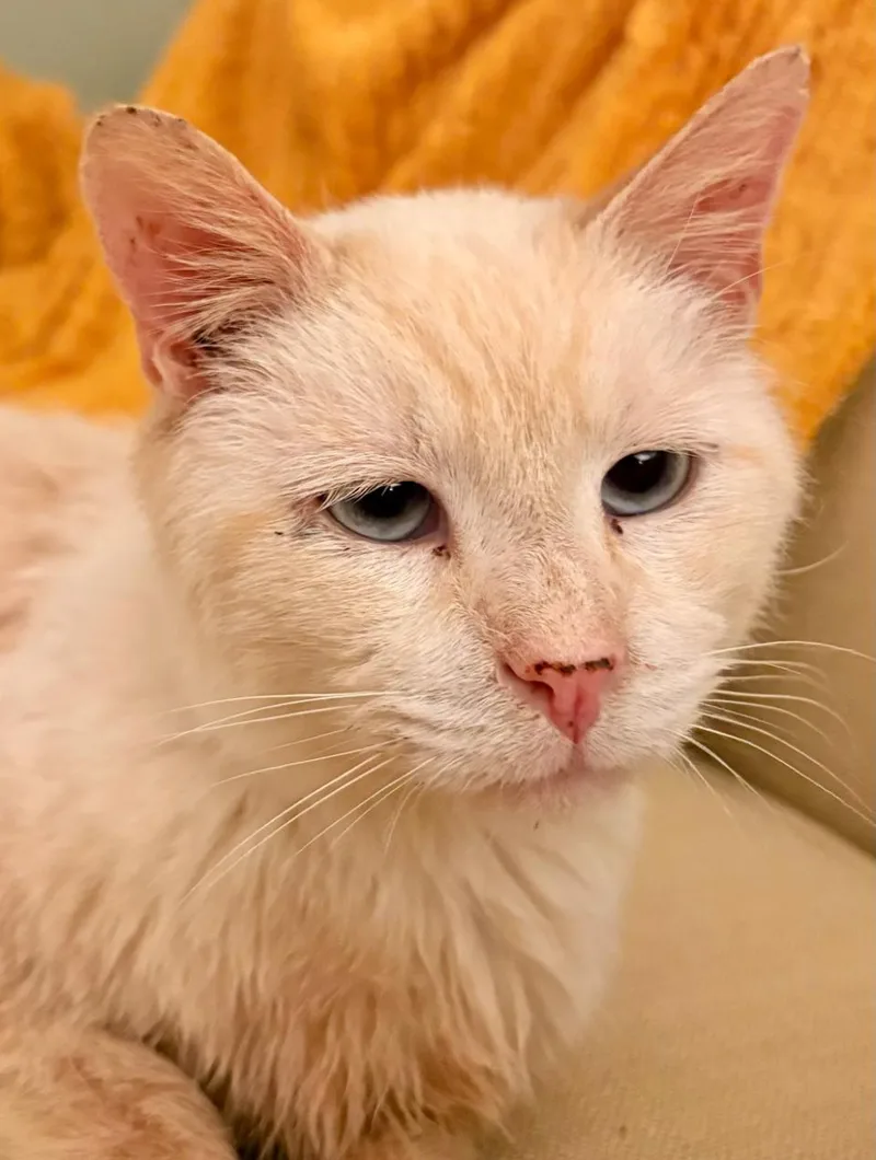 Harrison thumbnail 2