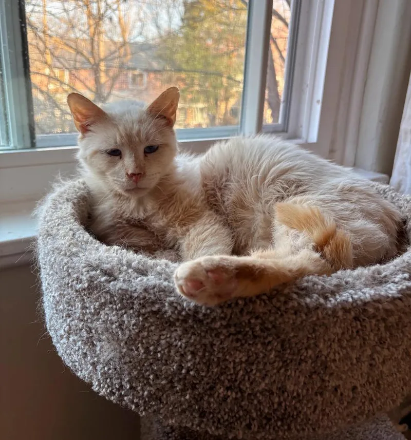 Harrison thumbnail 3