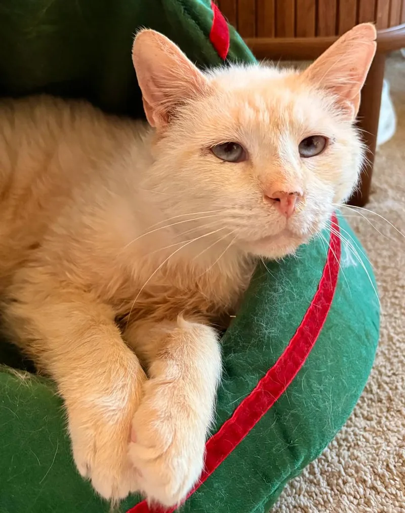 Harrison thumbnail 4