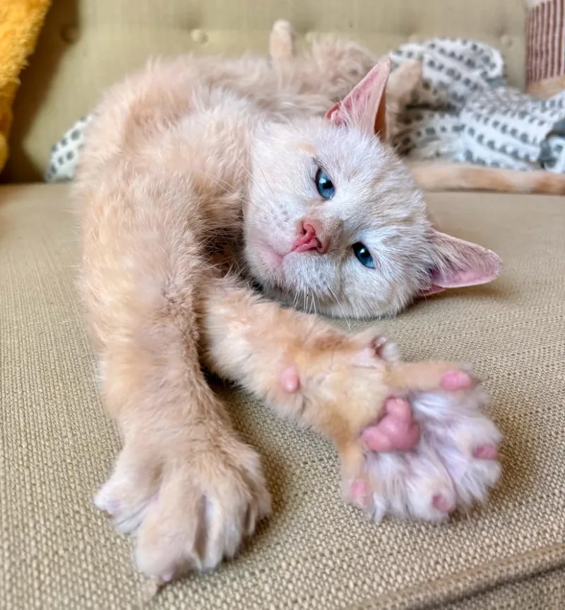 Harrison thumbnail 5