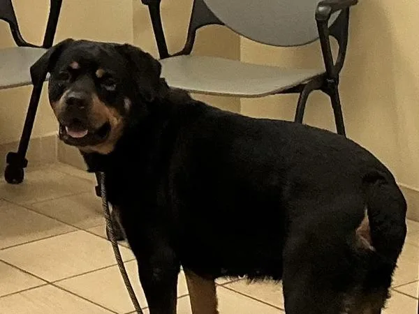 Mia
