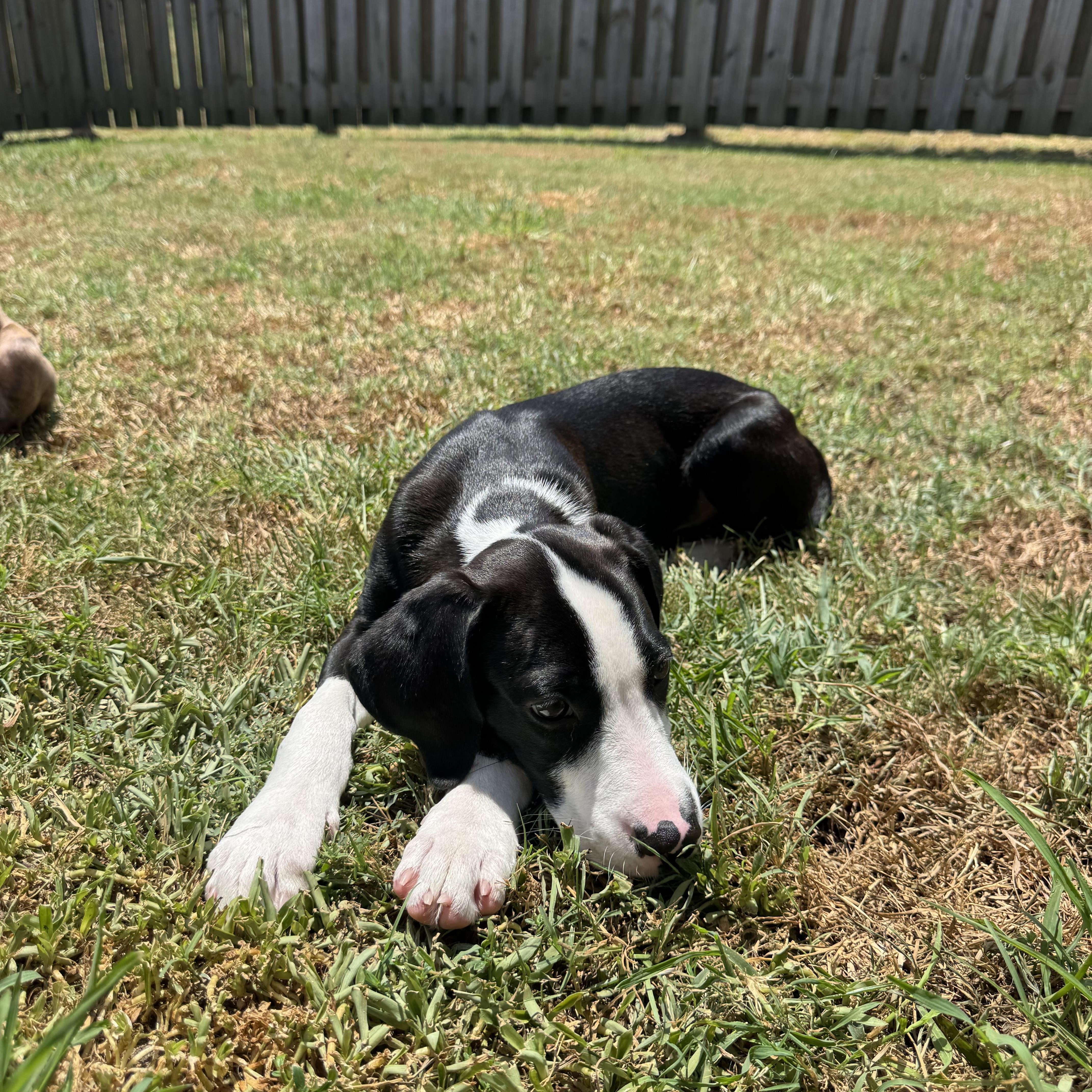 Jack