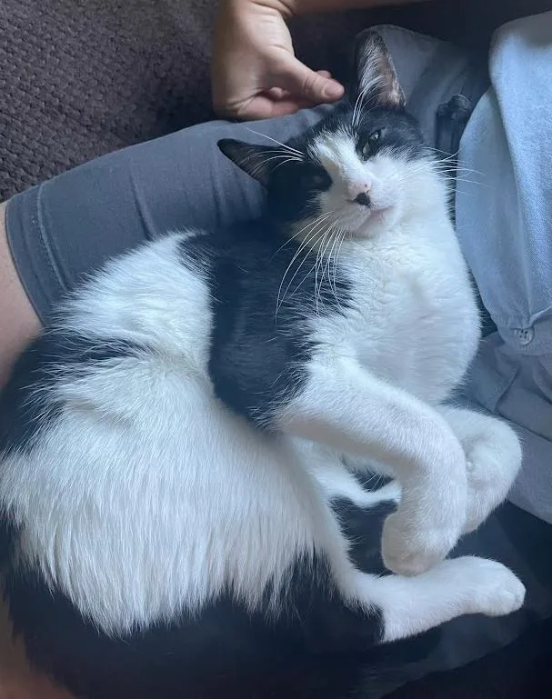 Milkshake thumbnail 2