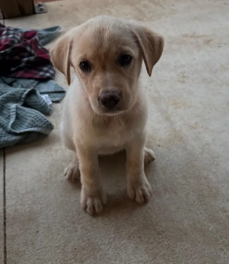 Maisy thumbnail 2