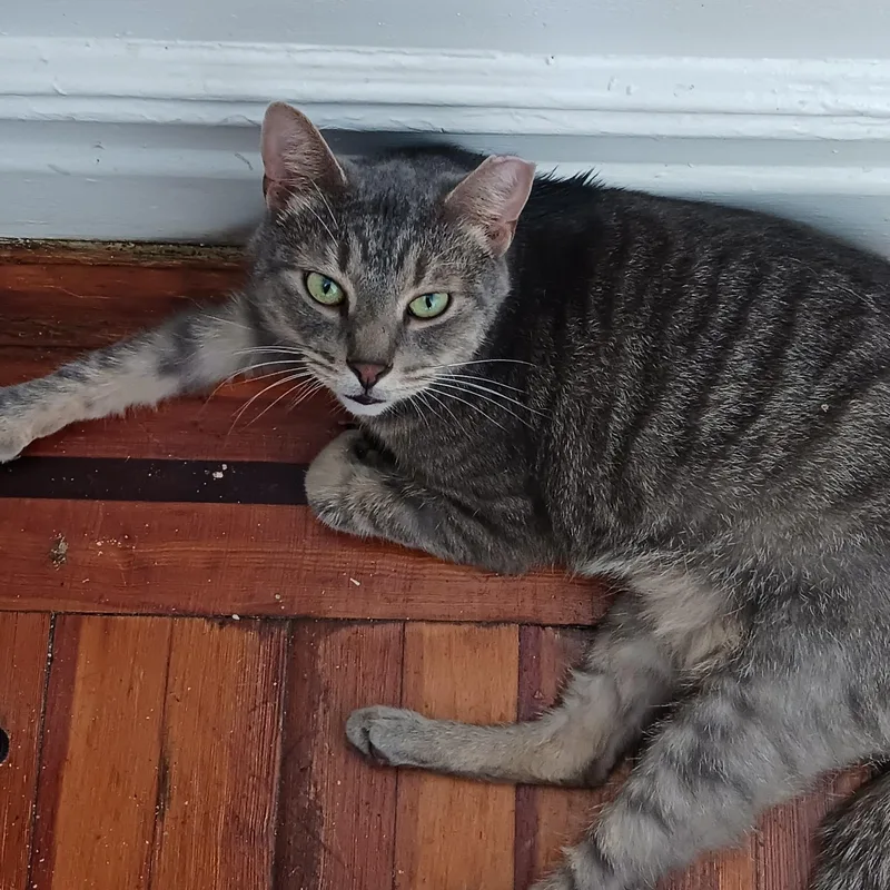 Sammie B.  Chill thumbnail 2