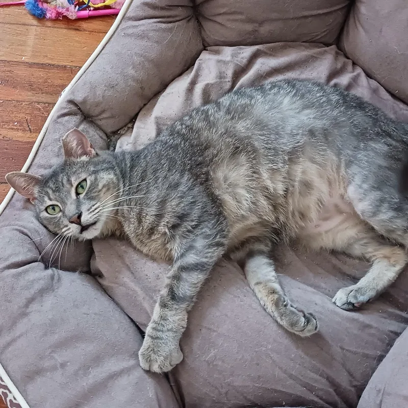 Sammie B.  Chill thumbnail 4