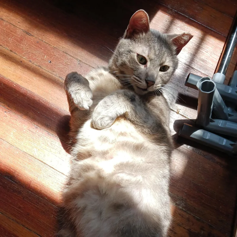 Sammie B.  Chill thumbnail 5