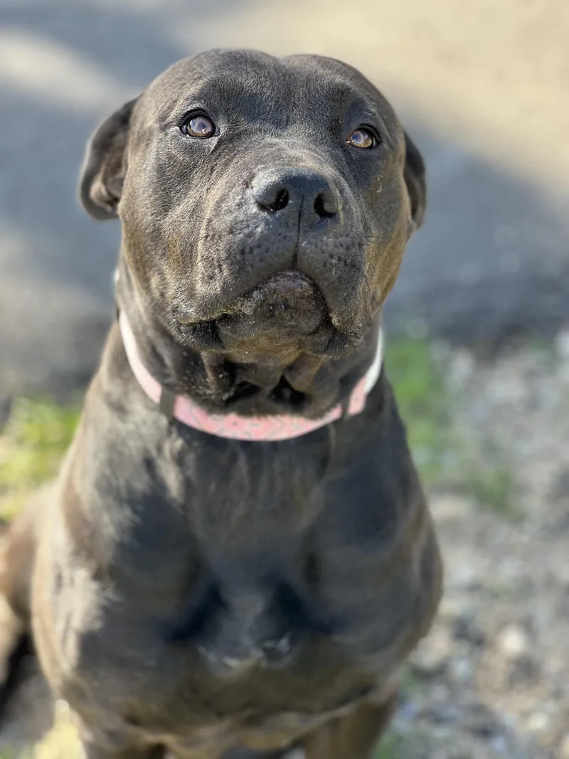 Annie