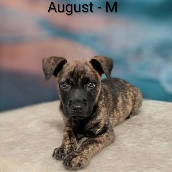 August thumbnail 2
