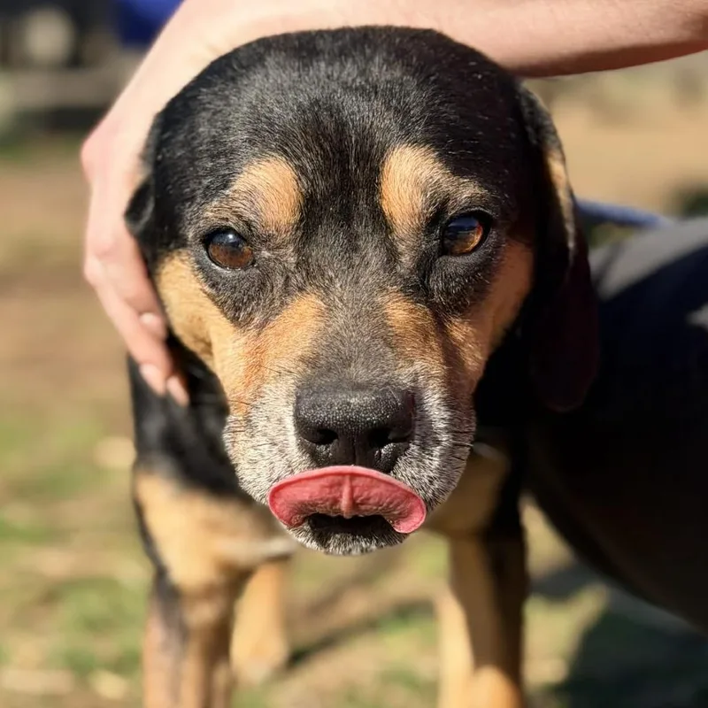 Big Sean thumbnail 2