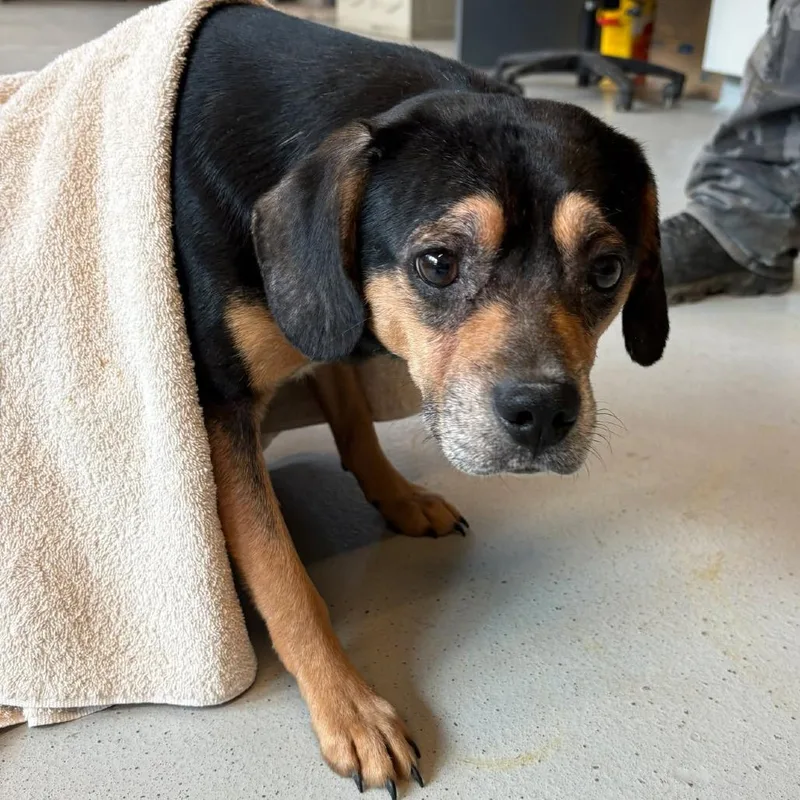 Big Sean thumbnail 5