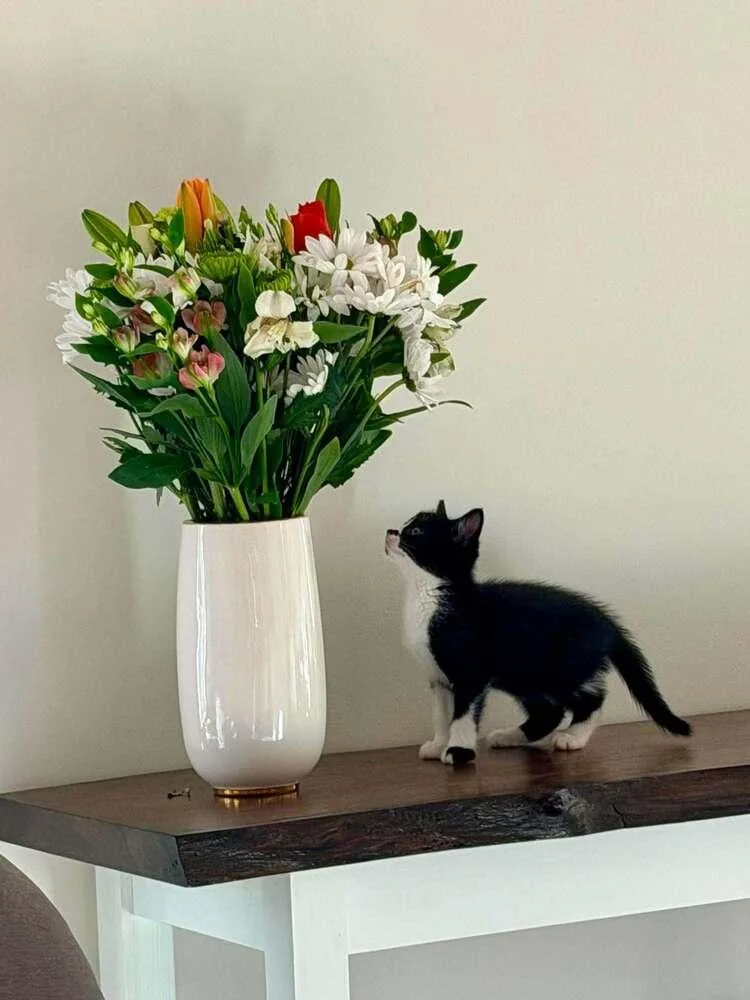 Flower thumbnail 5