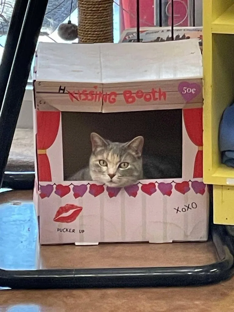 Purrnelope thumbnail 2