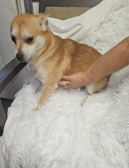 Milo