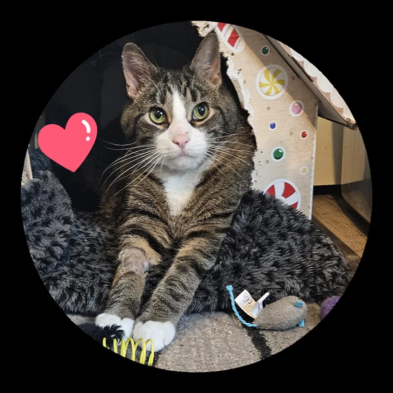 Tiberius thumbnail 2