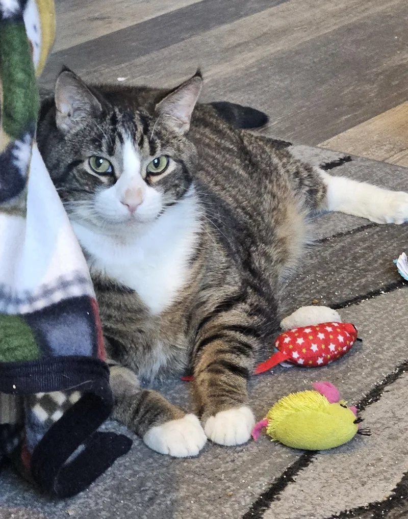 Tiberius thumbnail 3