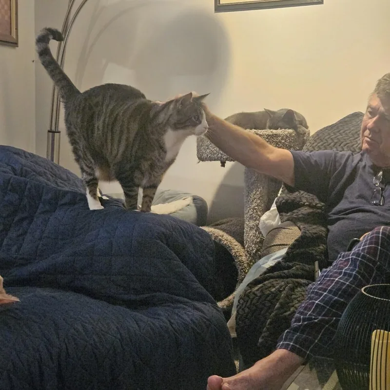 Tiberius thumbnail 4