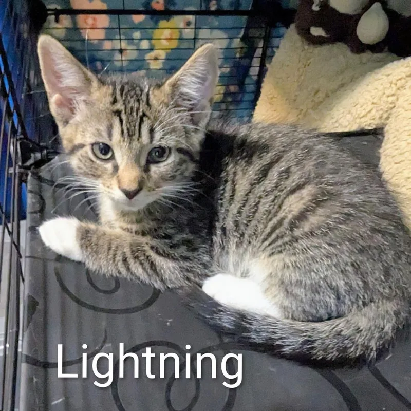 Lightning