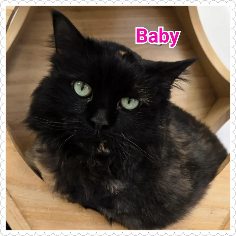 Baby thumbnail 2
