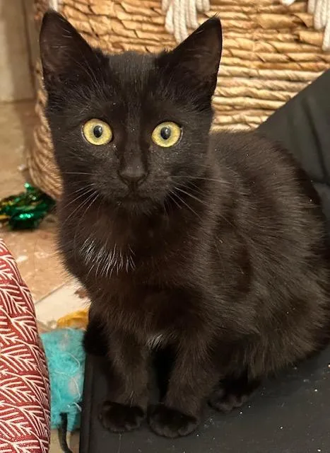 Dorrie And Wednesday thumbnail 3