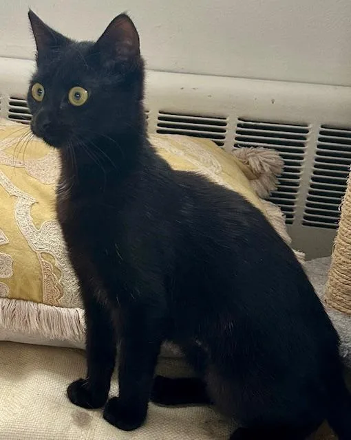 Dorrie And Wednesday thumbnail 4