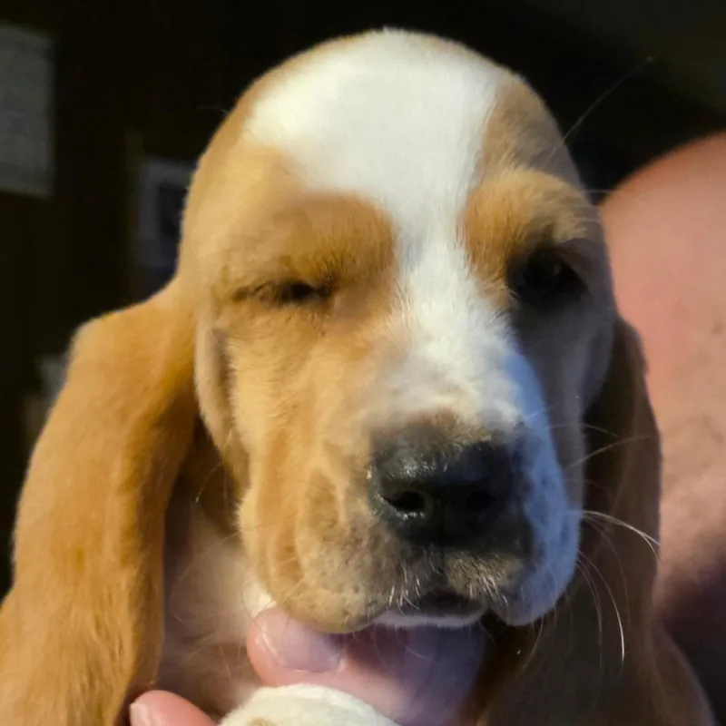 Walter B