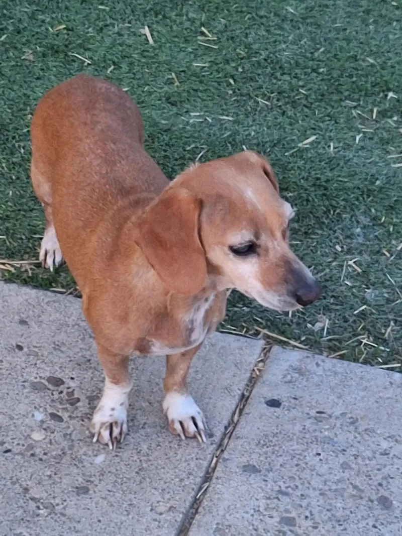 Gracie thumbnail 3