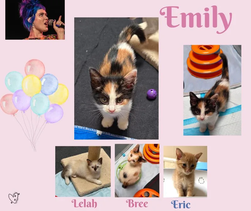 Emily thumbnail 2