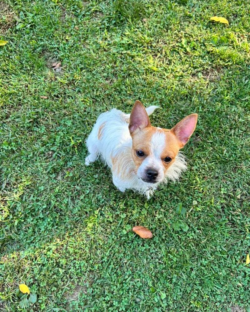 Carlos