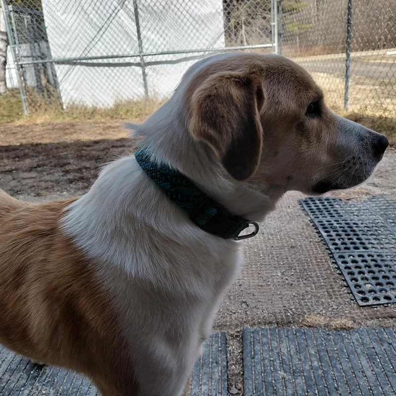 Kaleidoscope thumbnail 2