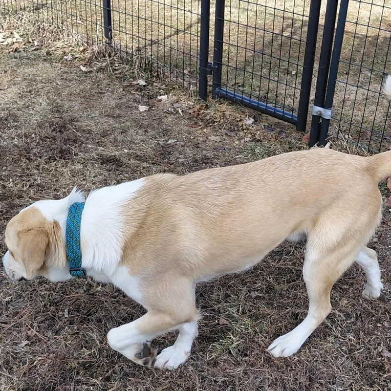 Kaleidoscope thumbnail 3