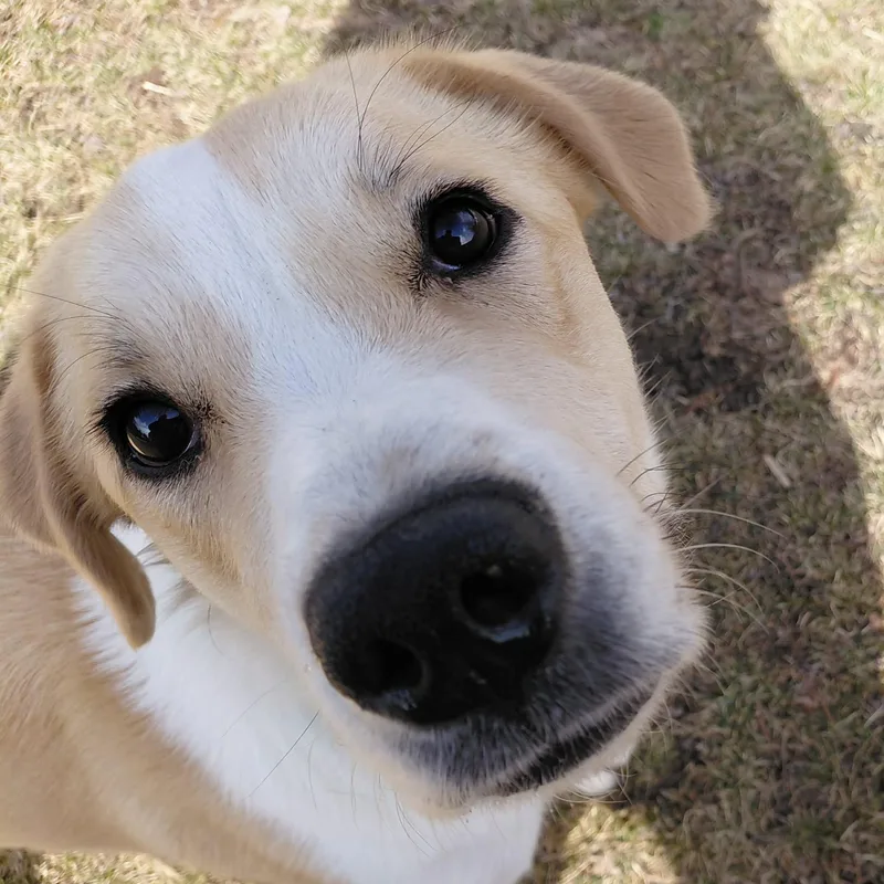 Kaleidoscope thumbnail 5