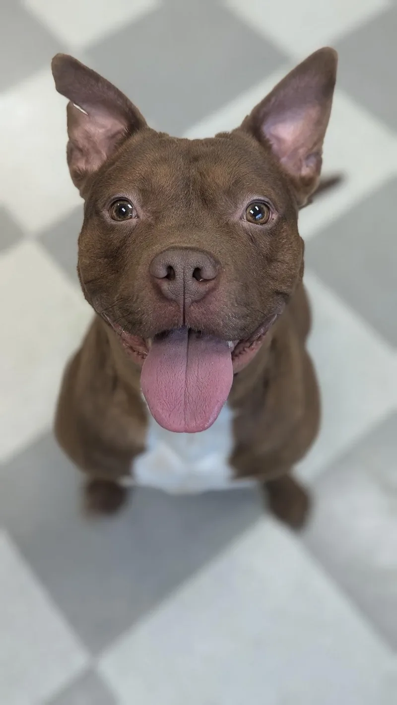 Smokehouse thumbnail 2