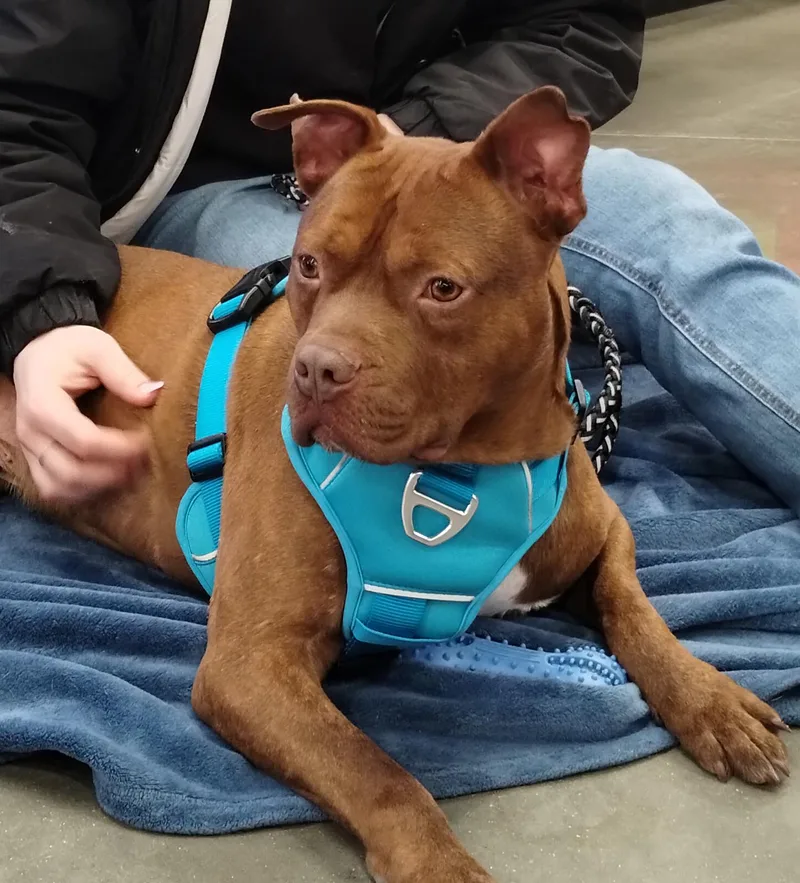 Smokehouse thumbnail 3