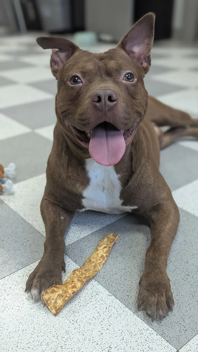 Smokehouse thumbnail 5