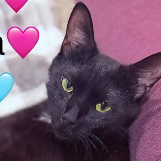Sabrina thumbnail 3