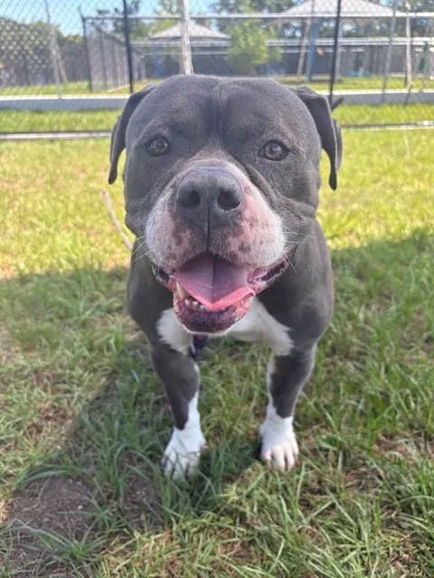 Odin