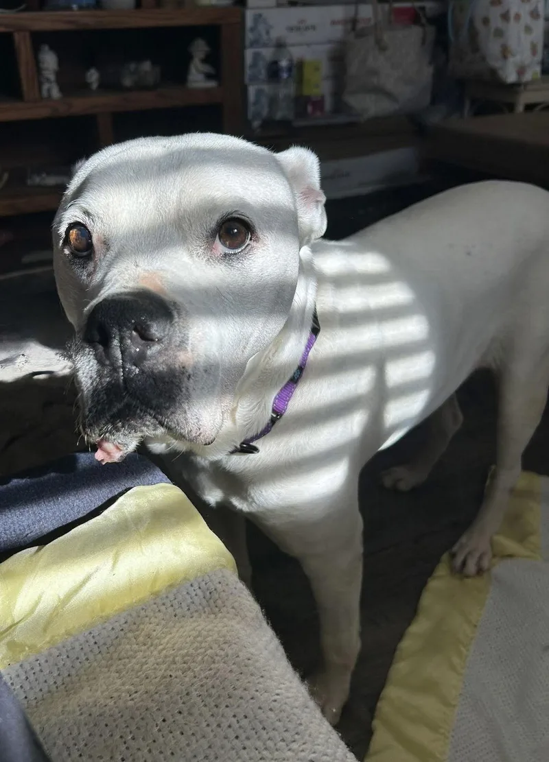 Mama Dukes thumbnail 2